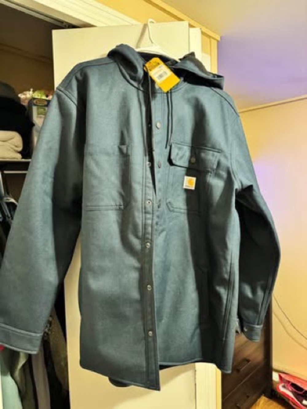 Carhartt Men's Hooded Work Jacket in Teal Green